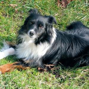 Meet your Posher, Lyn